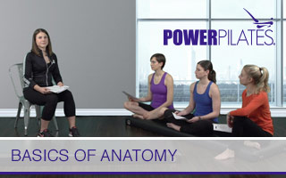 Basics of Anatomy 2017 Edition